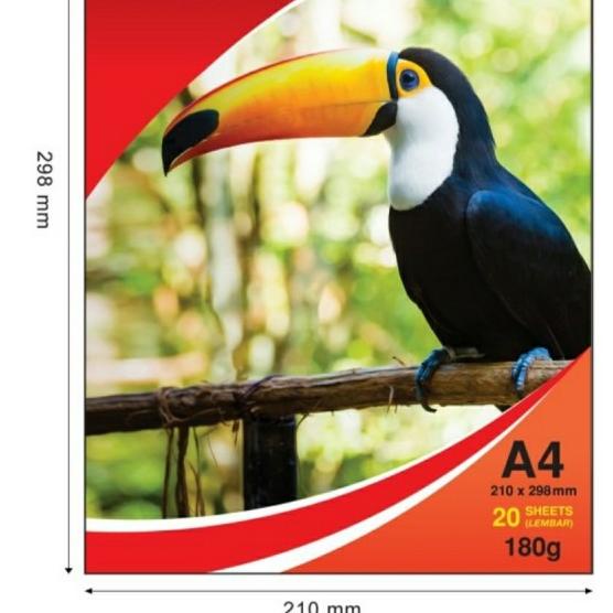 

➾ Glossy Photo Paper Joyko A4 180gr ♖