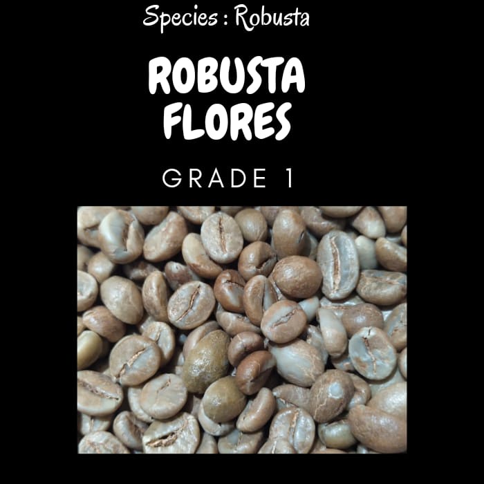

TERMURAH I Green bean ROBUSTA Flores - Fine ROBUSTA 1kg