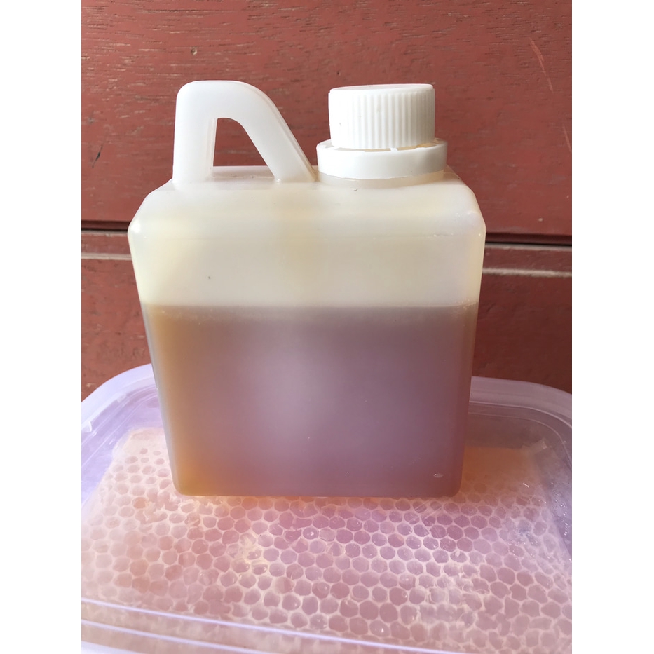 

Madu hutan kalimantan 500 gr