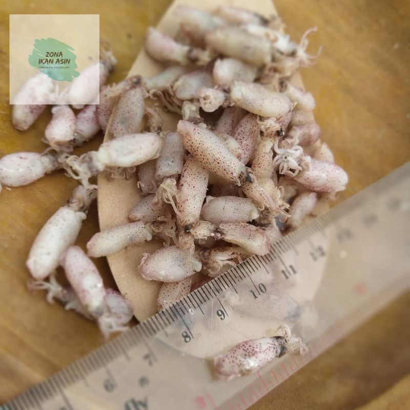 

BABY CUMI SUPER GRADE A size 0,5-2CM 1KG
