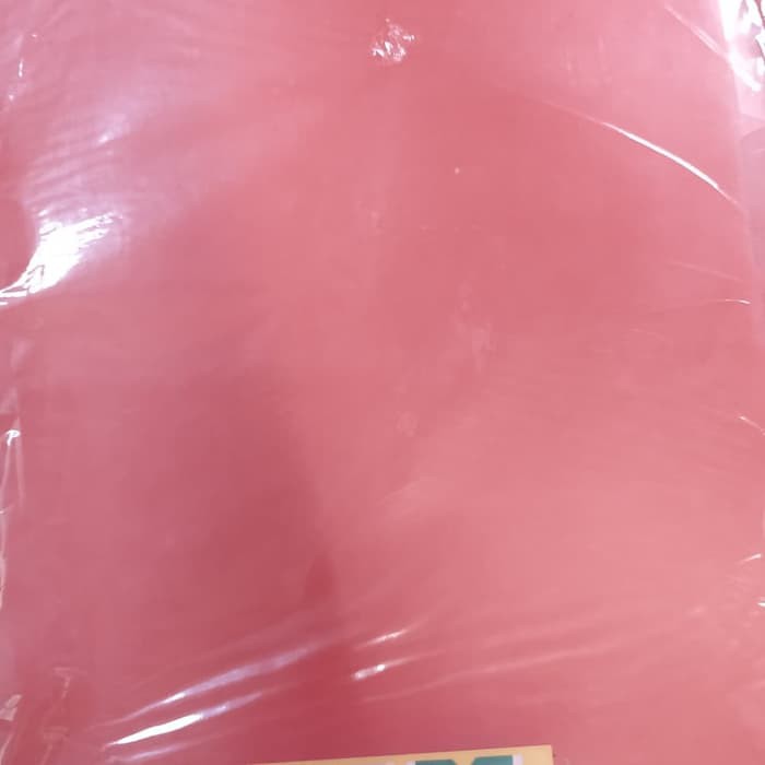 

clear sleeve/map L plastik multi divider kenko