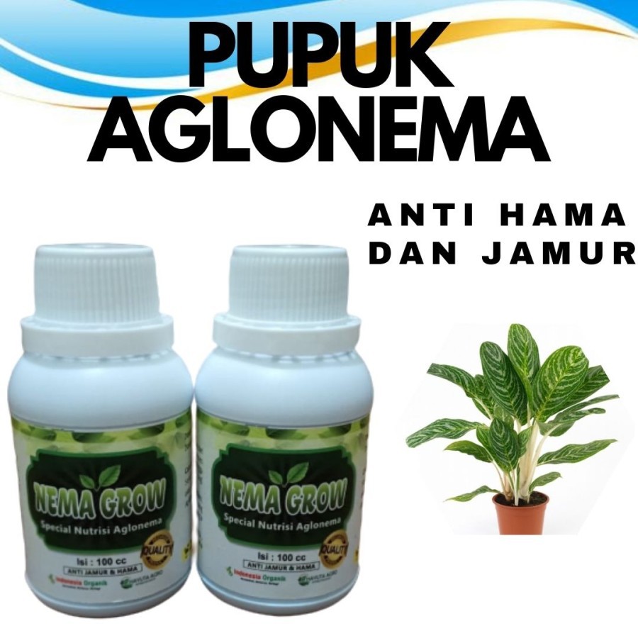 Vitamin Aglonema Anggrek Nema Grow Nutrisi Namira Nava Grow Vitamin B1