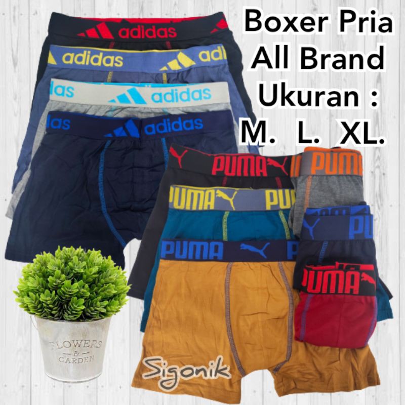 Boxer Celana Dalam Pria Dewasa CD Cowok Remaja M L XL Murah Brief