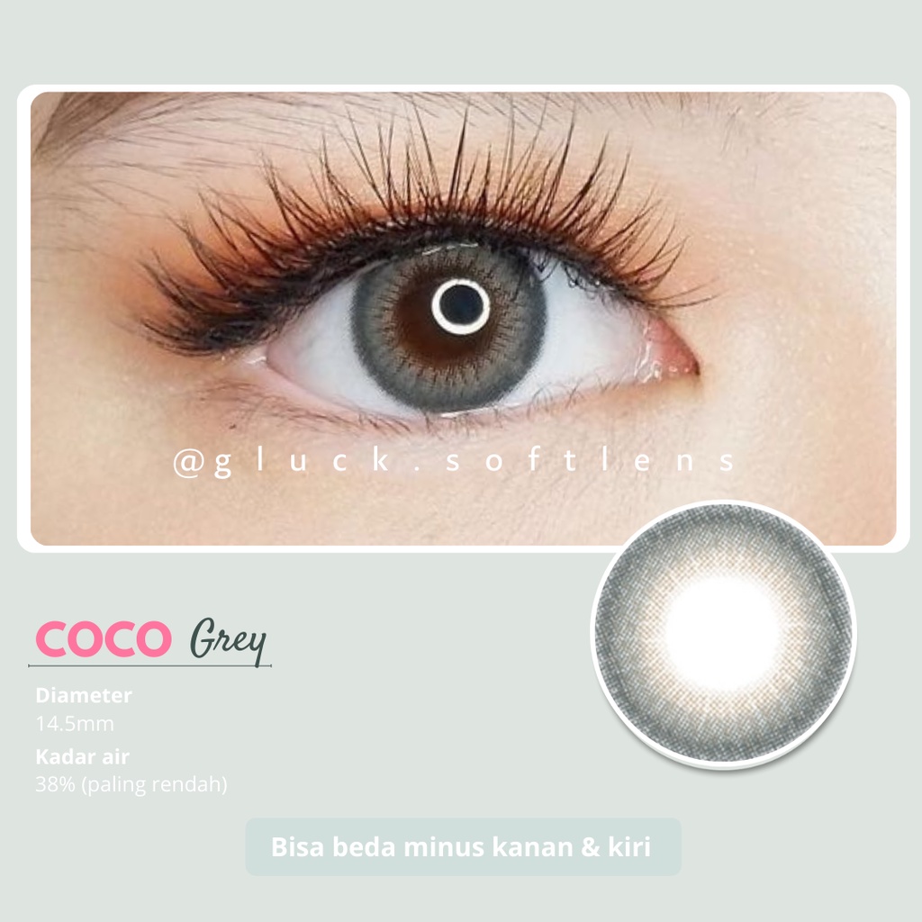 GLUCK SOFTLENS EOS COCO GREY | SOFTLENS NORMAL MINUS