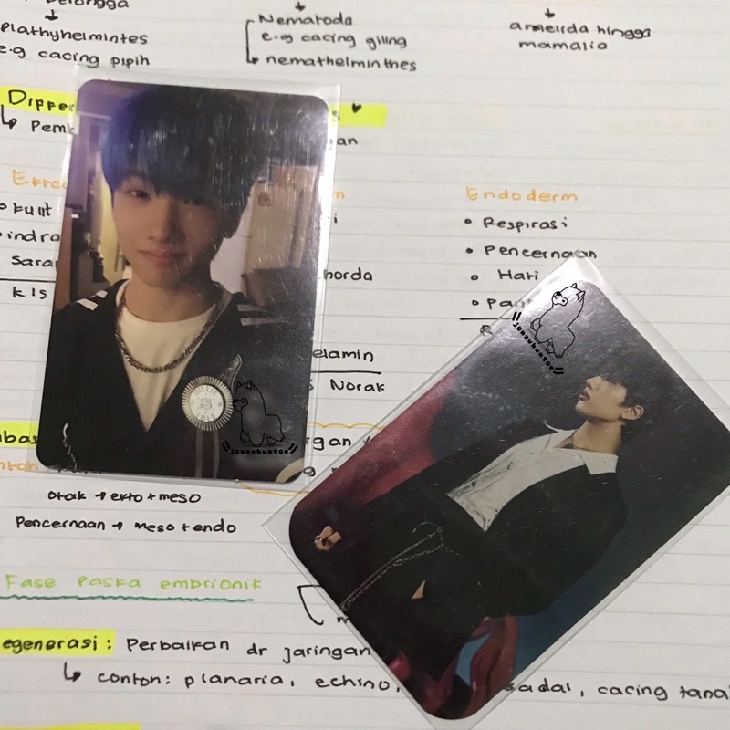 pc jisung we young / wgu / pc deco hotsa / jisung agent / jay akik