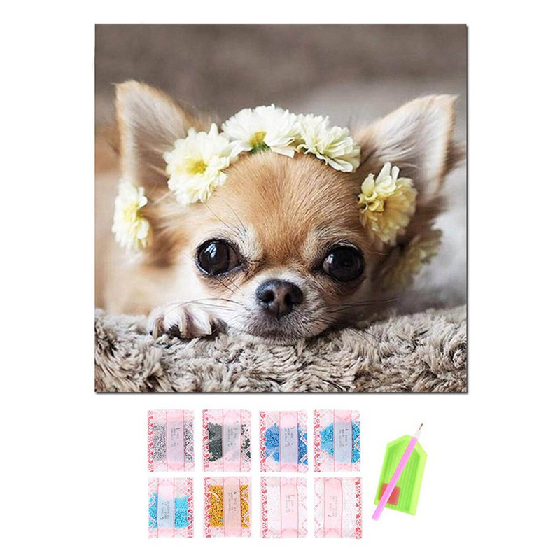 Lukisan Diamond 5d Diy Gambar Anjing Chihuahua Lucu Untuk Dekorasi