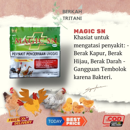 MAGIC SN HIJAU SASANA NGAPAK JAMU OBAT AYAM SAKIT PENCERNAAN OBAT SNOT AYAM BEBEK UNGGAS PUYUH