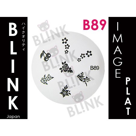 BLINK Image Plate B82 - B91