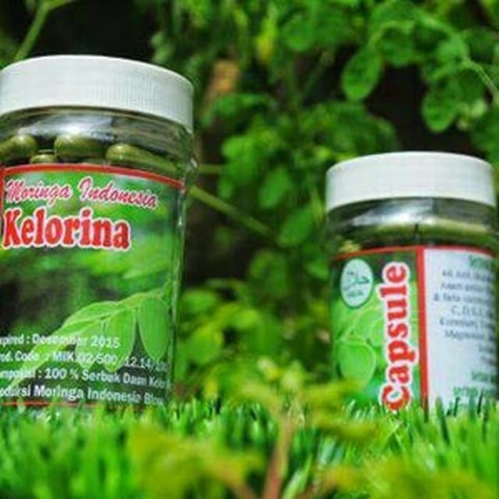 

moringa (kapsul)/bubuk daun kelor PROMO