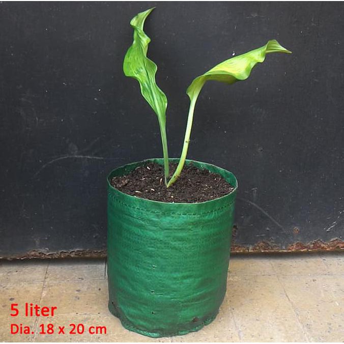 Planter Bag 5 Liter - Hijau TERPERCAYA