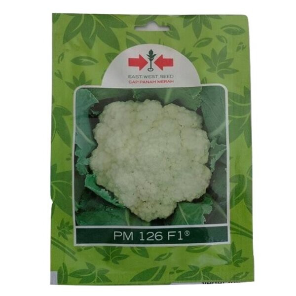 Benih Bibit Kembang Kol PM 126 F1 10 gr Biji Panah Merah Sayuran Bunga
