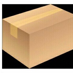 

Packing Kardus/Ekstra Packing