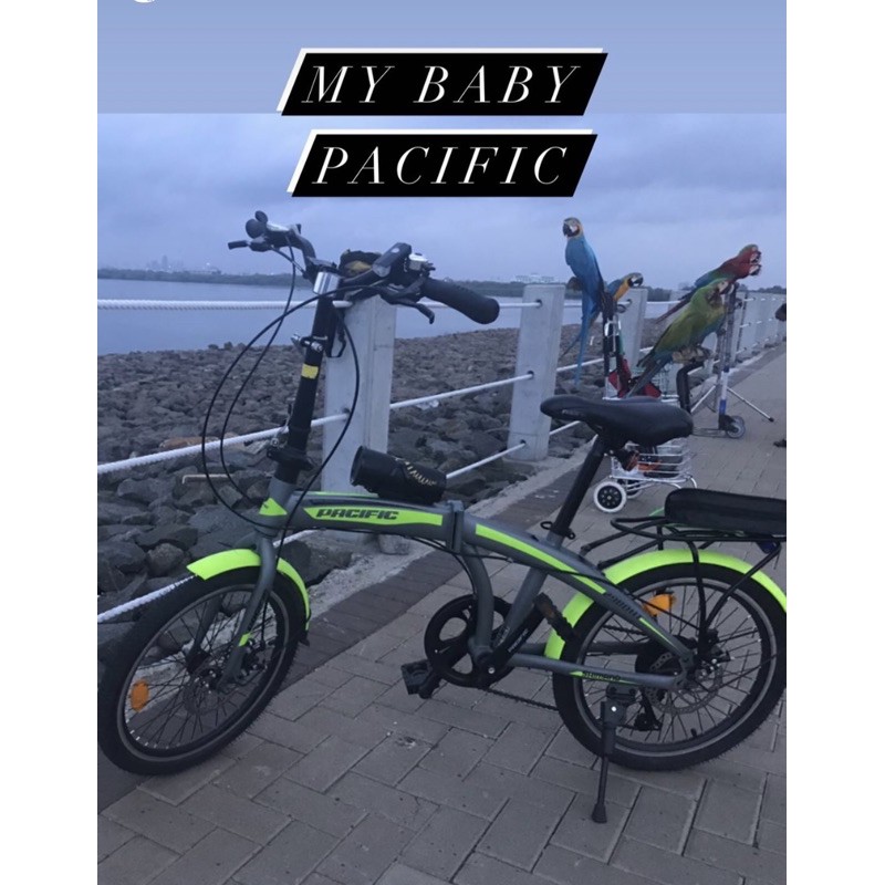 Pacific Folding Bike 2980HT