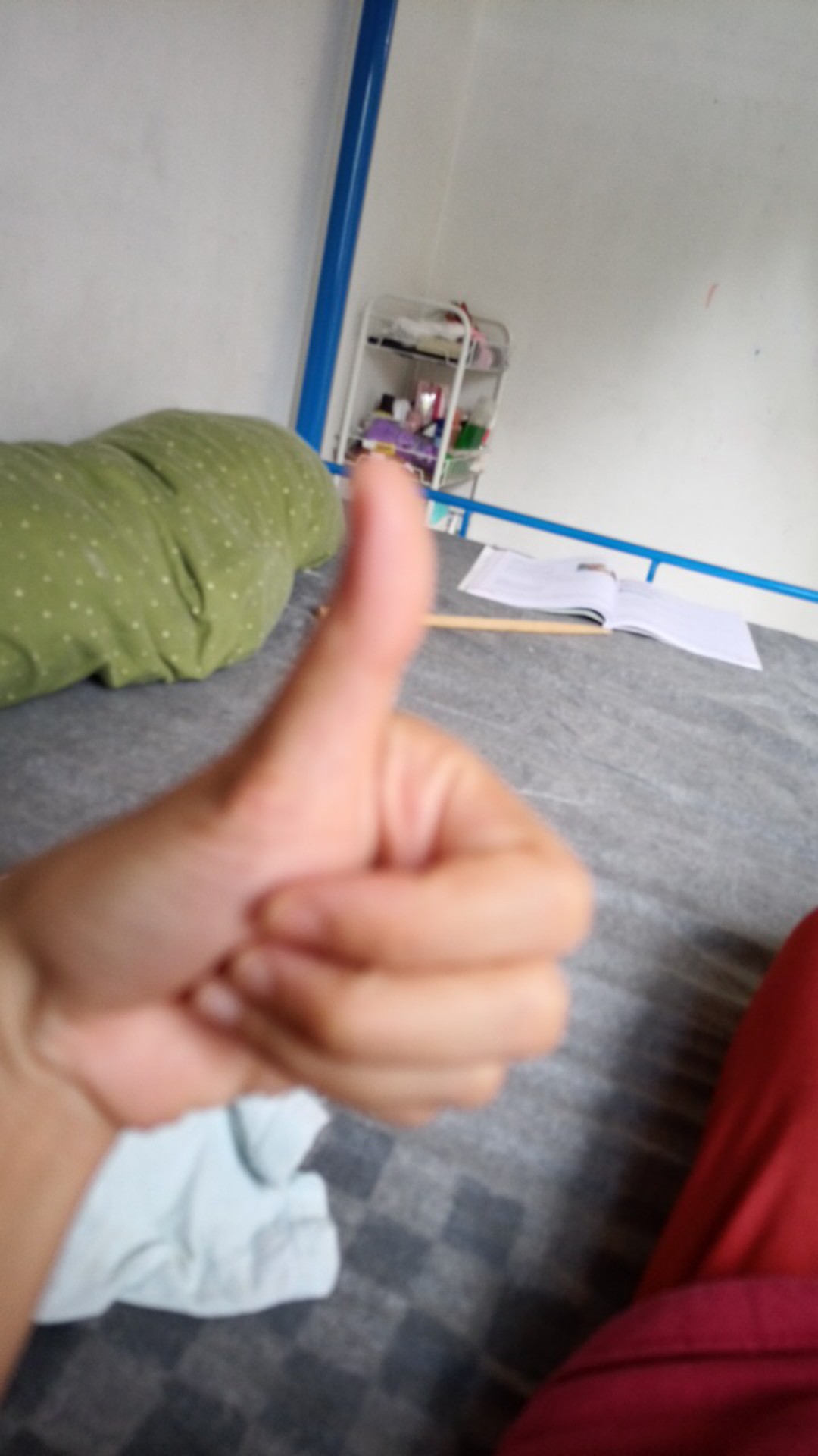 Bibit Cabe Rawit Almia 01 Isi 5 Gram | Benih Cabe | Bibit Cabai Rawit | Bibit Cabe Rawit Unggul