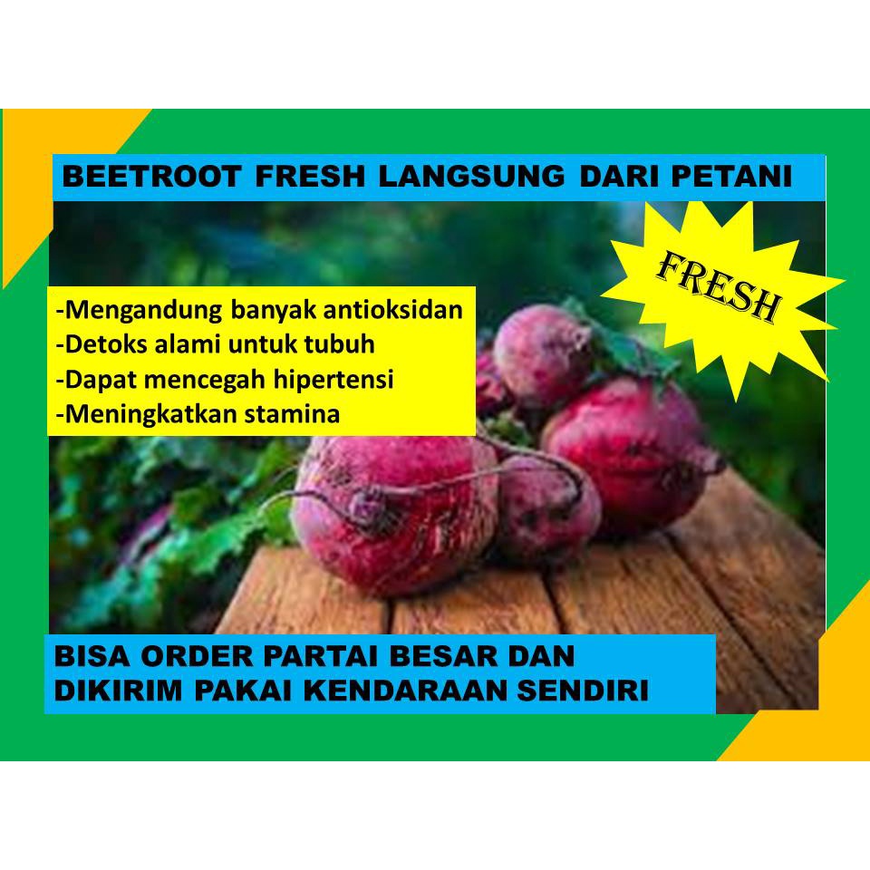 

Beetroot Fresh Segar 100% Langsung Dari Petaninya