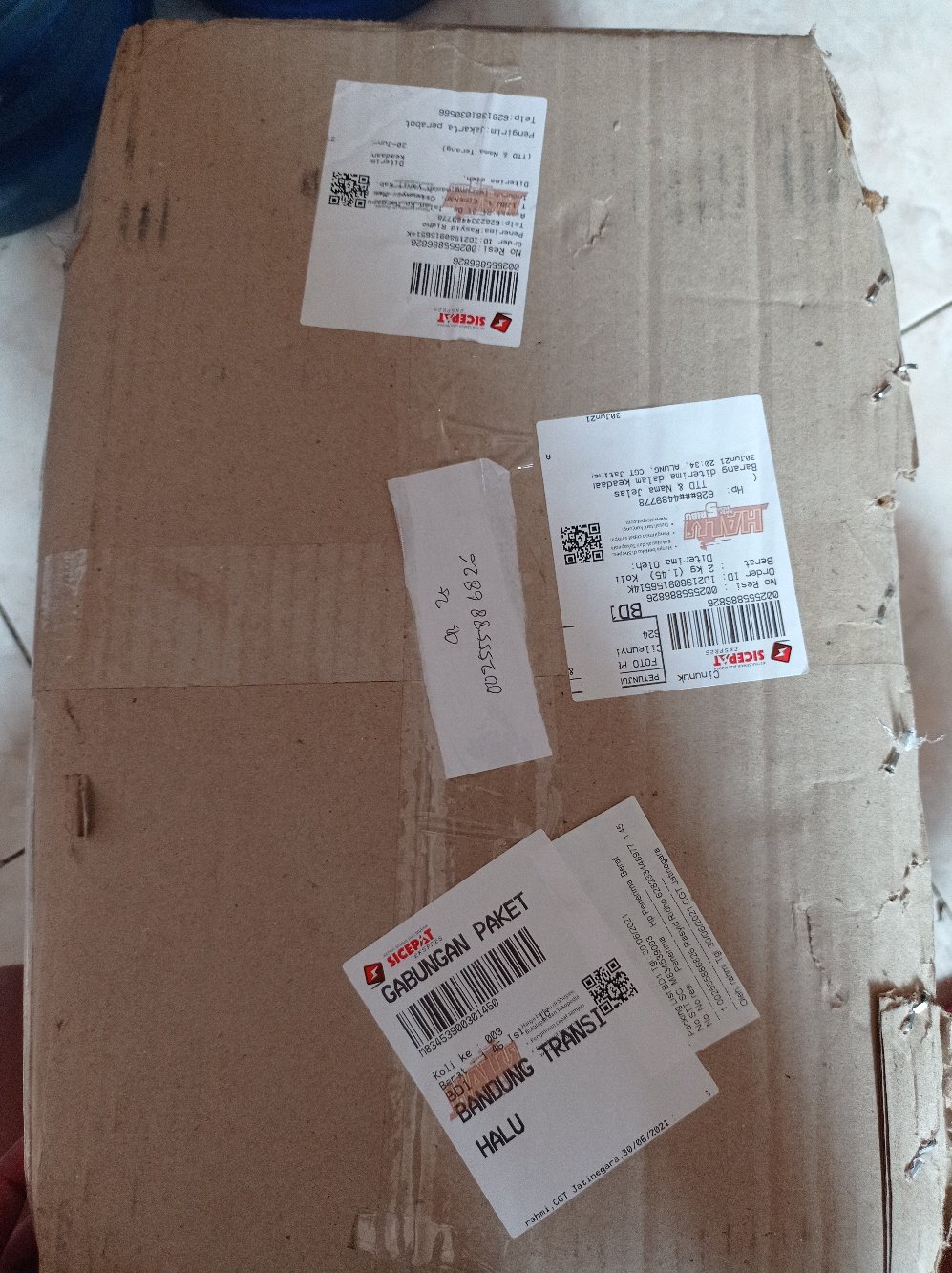 Shinpo-container Box Handy Cb 25 Liter / Box Container / Box Serbaguna