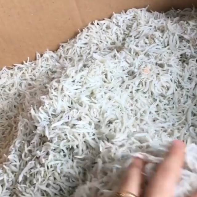 

Ikan Teri Nasi Super