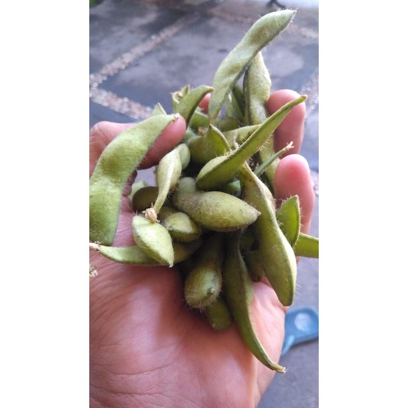 

edamame super