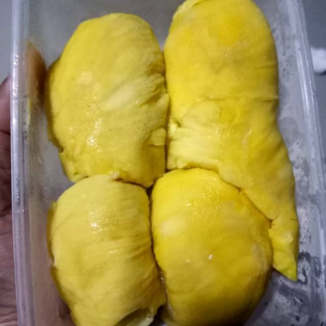 

Montong Palu Super
