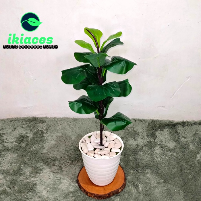 POHON HIAS PLASTIK POHON KETAPANG ARTIFISIAL BUNGA HIAS DAUN DEKORASI DAUN JUMBO PLASTIK MURAH