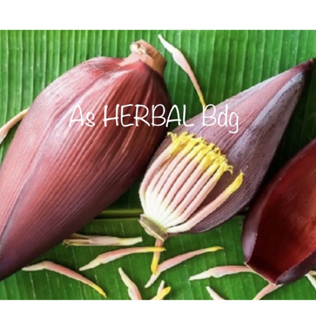 

Promo jantung pisang fresh petik langsung-az