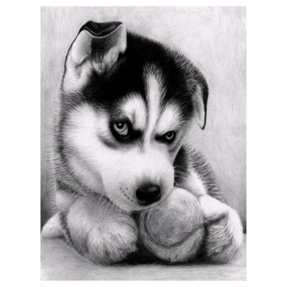 Lukisan Diamond 5d Diy Gambar Anjing Untuk Dekorasi Rumah Shopee