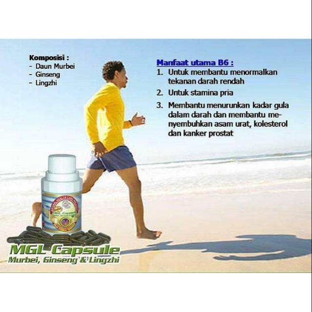 Obat herbal MGL capsule pt UFO