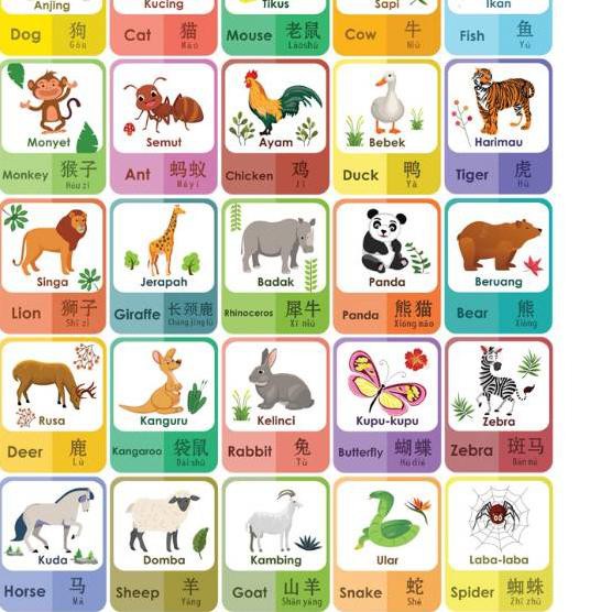 Jual NAlA99 Flashcard pengenalan nama hewan 3 bahasa / kartu pintar
