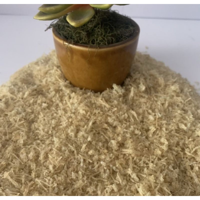 

Sarang walet 1 KG Bersih siap masak murah meriah