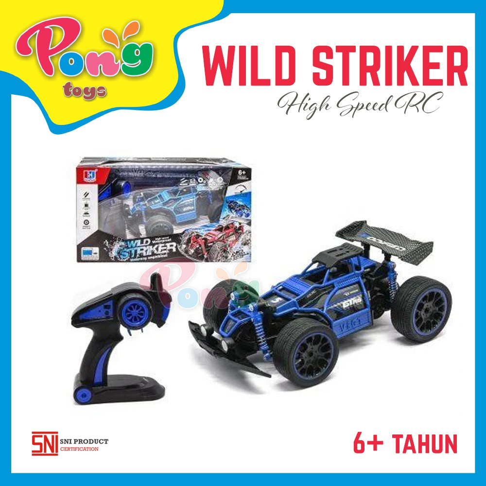 Mainan Anak Cowok Mobil RC Wild Striker Waterproof High Speed Racing 2.4GHz
