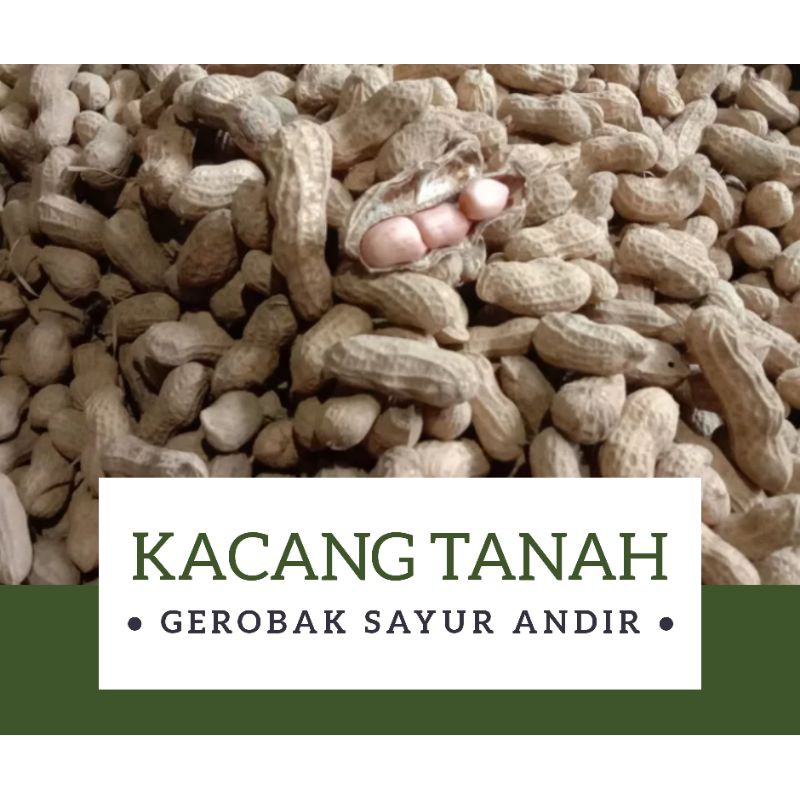 

Kacang Tanah Basah /500gr