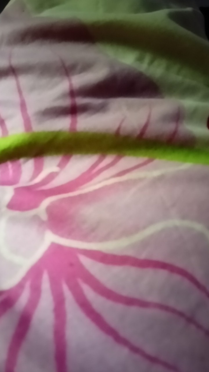 Alat Pemeras Jeruk Lemon , Perasan Jeruk Manual , Pemeras Jeruk Lemon