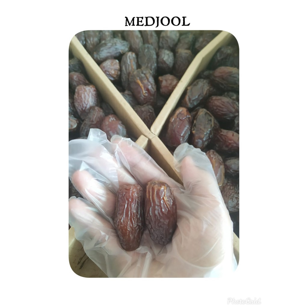 

Kurma Medjool Palestine