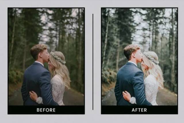 EVERGREEN CLEAN PRESET LIGHTROOM GARANSI TERMURAH