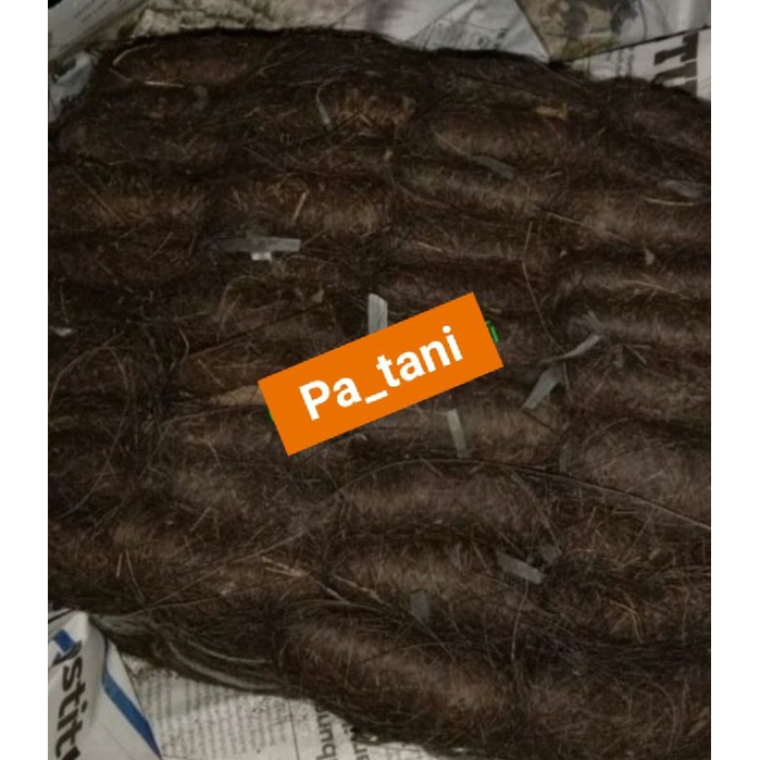 IJUK AREN RESAPAN AIR
