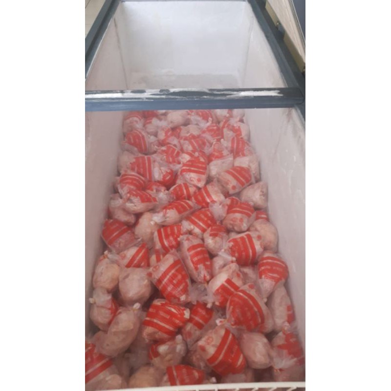 

Ayam Frozen ukuran 0,5-06 kg