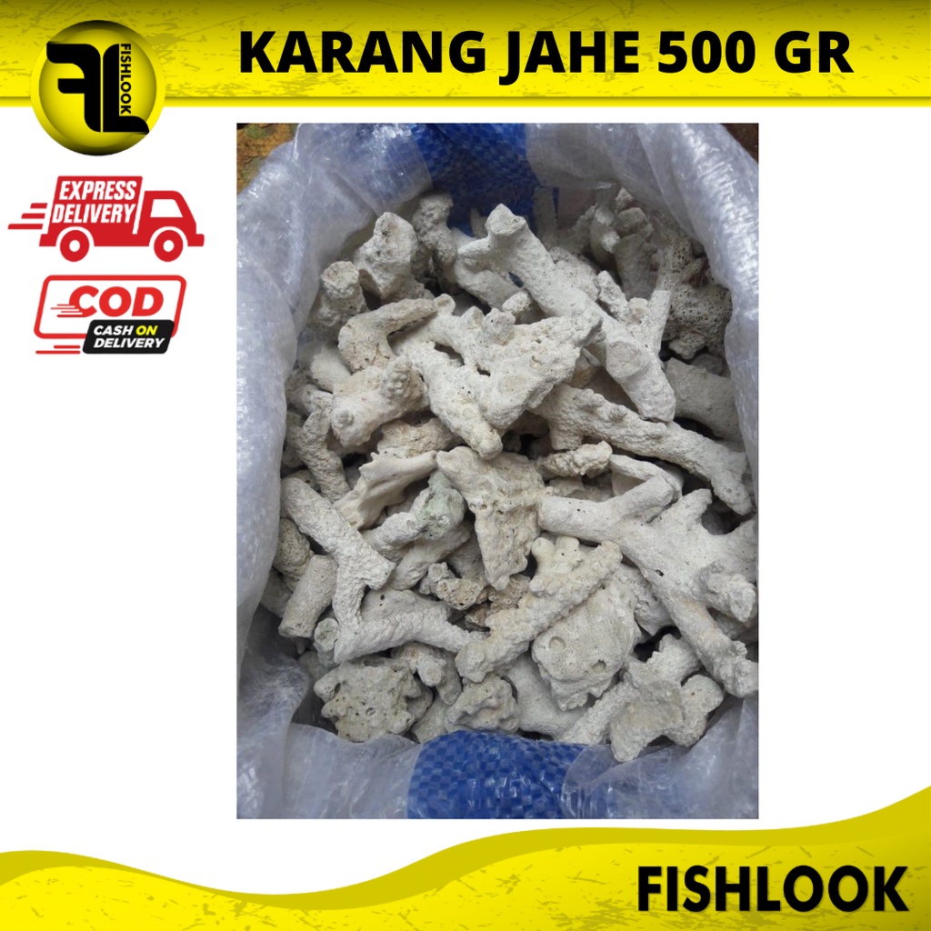 karang jahe media filter ph air hiasan dekorasi aquarium aquascape 500 gr