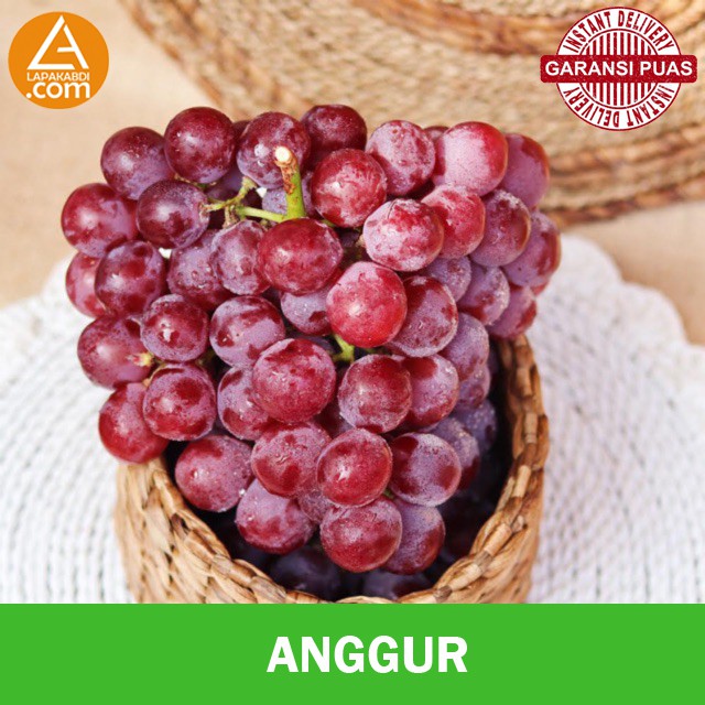

Anggur Redglobe 500gr Buah Segar Garansi Termurah