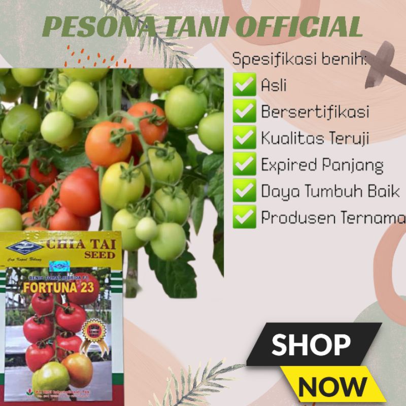 Benih TOMAT FORTUNA 23 Hibrida F1 5gr - Cap Kapal Terbang