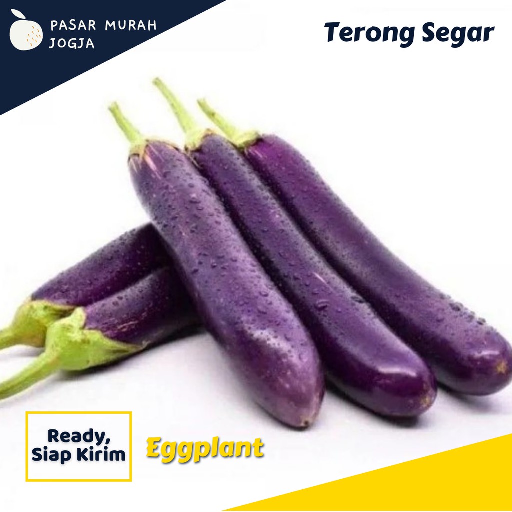

Terong Ungu Sayur Fresh 500gr Sayuran Segar Pasar Murah Jogja