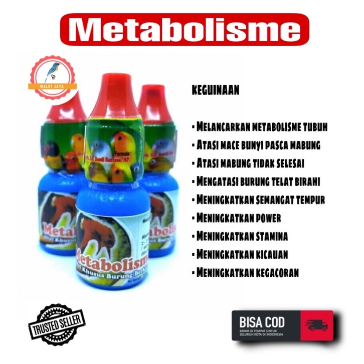 METABOLISME OBAT BURUNG MURAI KACER CAIR ATASI MACET BUNYI KURANG BIRAHI