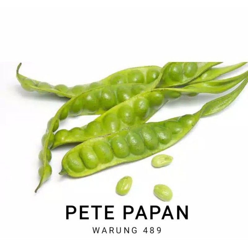 

PETE 1PAPAN