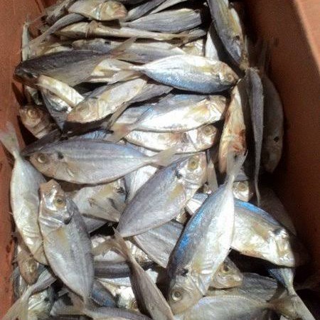 

Ikan Asin Selar - 250 Gram