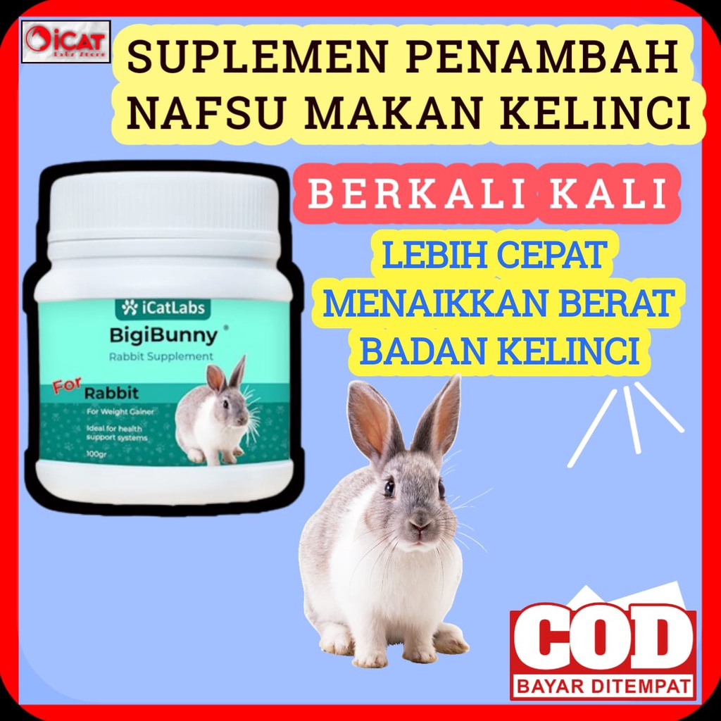 BIGIBUNNY VITAMIN PENGGEMUK KELINCI VITAMIN PENAMBAH NAFSU MAKAN KELINCI OBAT PENGGEMUK KELINCI OBAT