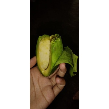 

alpukat mentega