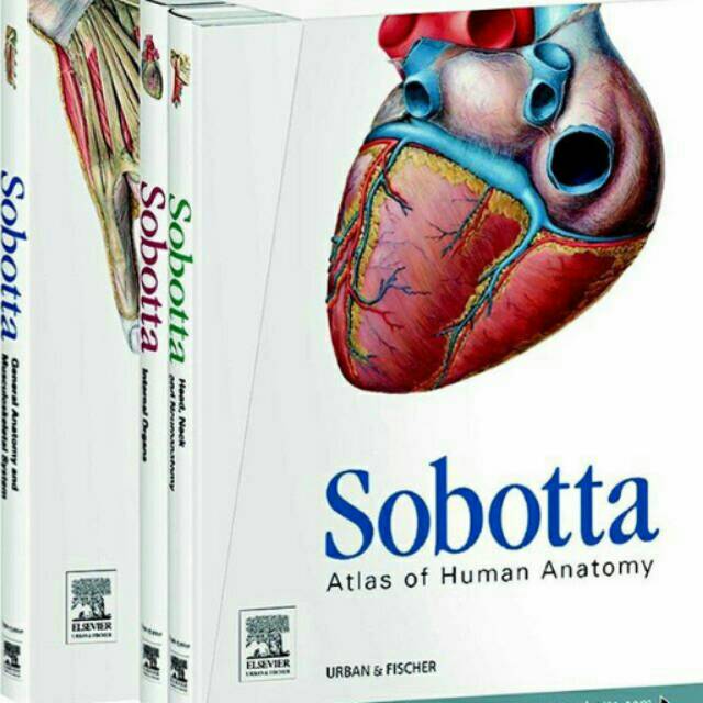 Jual Sobotta Atlas Of Human Anatomy Package, 15 Th (3 Vol-set) | Shopee ...