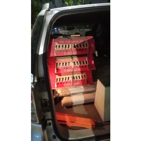 Doq anak puyuh PER BOX