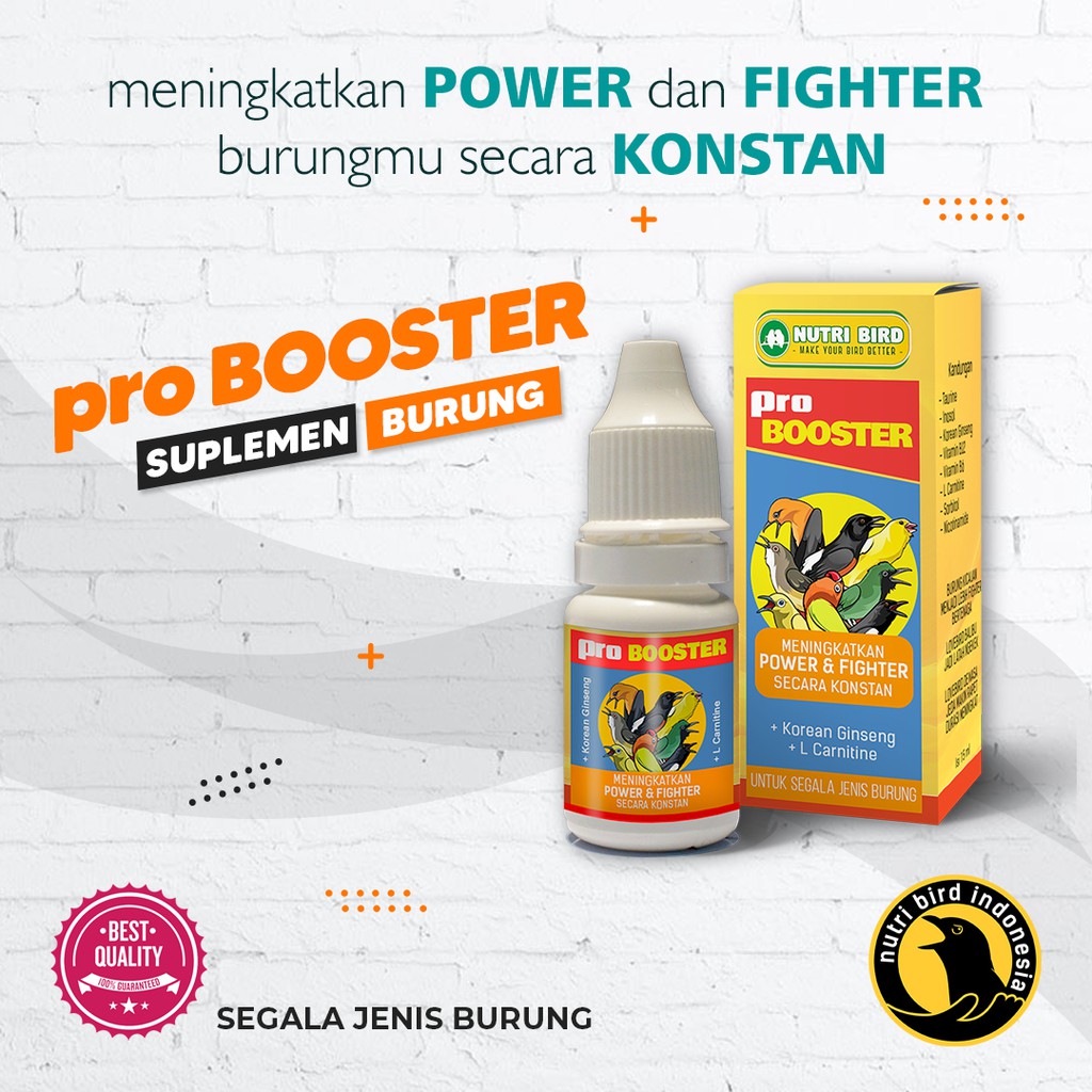 PRO BOOSTER  Meningkatkan POWER dan FIGHTER Burungmu SECARA KONSTAN