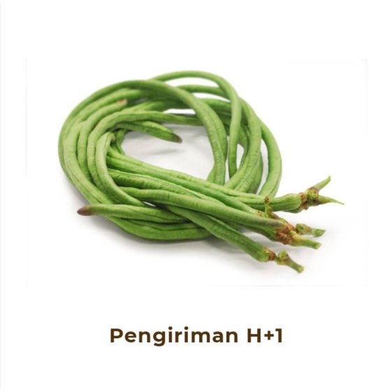 

Kacang Panjang Segar / Fresh Long Bean