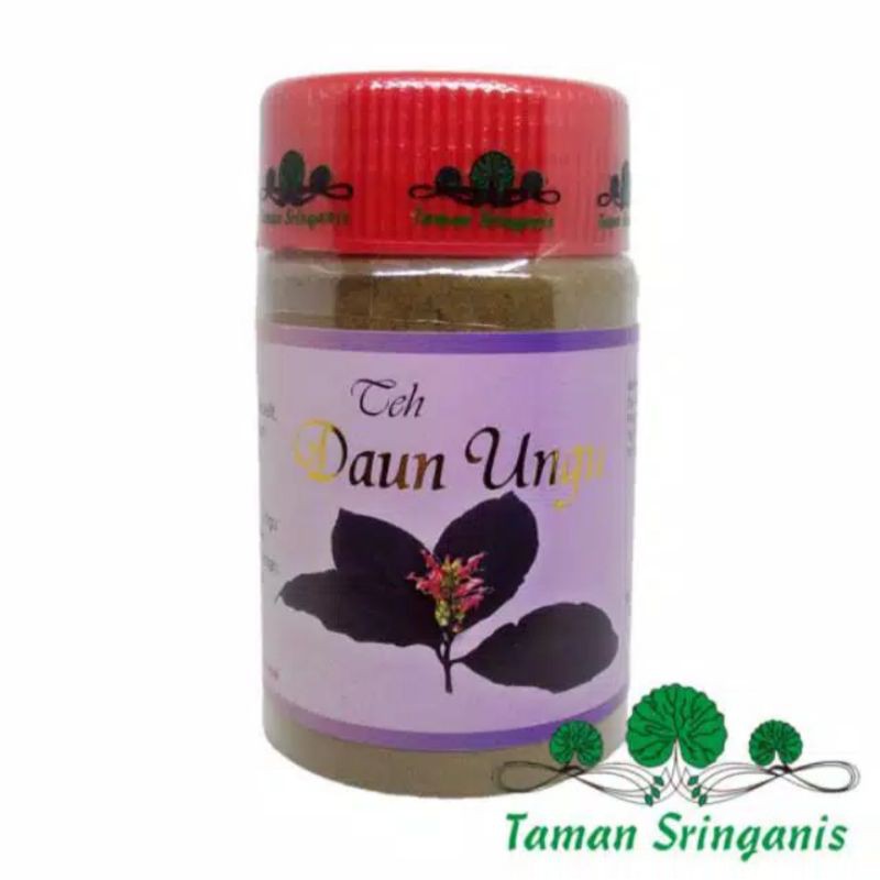 

TEH DAUN UNGU : OBAT HERBAL PENGHILANG VARISES, WASIR, AMBEYEN AMPUH